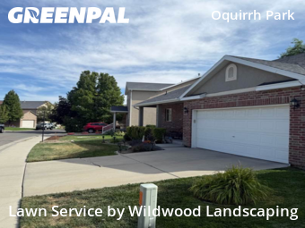 Weed Trimming in South Jordan, 84009, Yard Services by Wildwood Landscaping , work completed in Nov , 2025