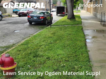 Lawn Service nearby Chicago, IL, 
