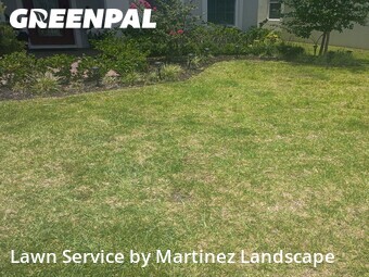 Lawn Carein Clermont,34714,Lawn Service by Martinez Landscape, work completed in Jun , 2026