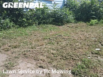 Grass Cut nearby Decatur, IL, 