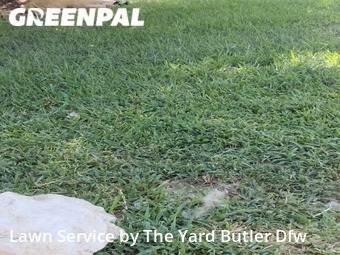 Grass Cut nearby Fort Worth, TX, 