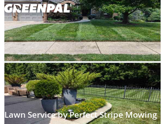 Lawn Maintenance nearby Springfield, MO, 