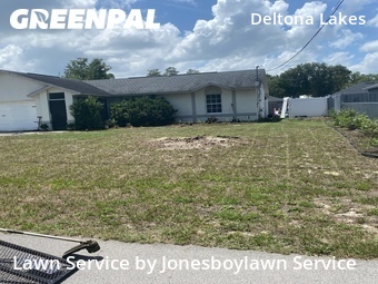 Lawn Cut nearby Deltona, FL, 