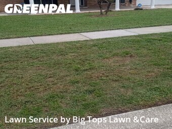 Lawn Cut nearby Longwood, FL, 