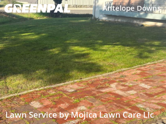 Work completed by the-yard-cutting-businesses-in-Citrus Heights-CA