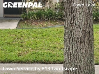 Grass Cutting nearby Tampa, FL, 