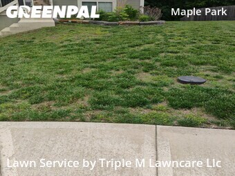 Grass Cut nearby Kansas City, MO, 