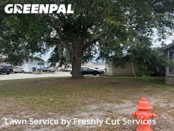 Lawn Care nearby Lakeland, FL, 