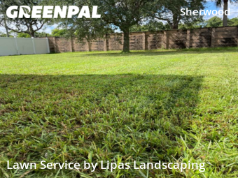 Lawn Maintenance nearby Lehigh Acres, FL, 