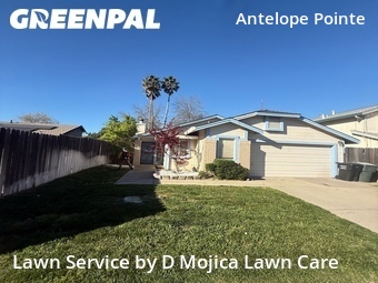 Lawn Cut nearby Antelope, CA, 