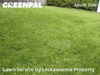 Yard Cutting nearby Scranton, PA, 