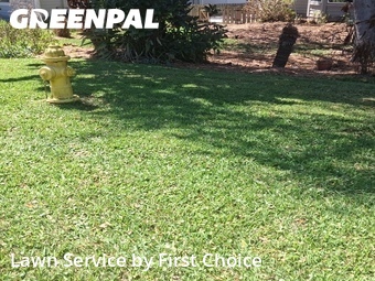 Grass Cut nearby St. Augustine, FL, 