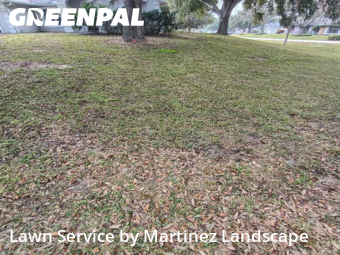 Lawn Mowing Servicein Clermont,34711,Lawn Cut by Martinez Landscape, work completed in Feb , 2026
