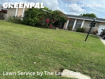 Local Lawn And Landscape Maintenance Services Near Me In Cape Coral,33904,Landscaping by The Lawn Guy, work completed in Jul , 2026