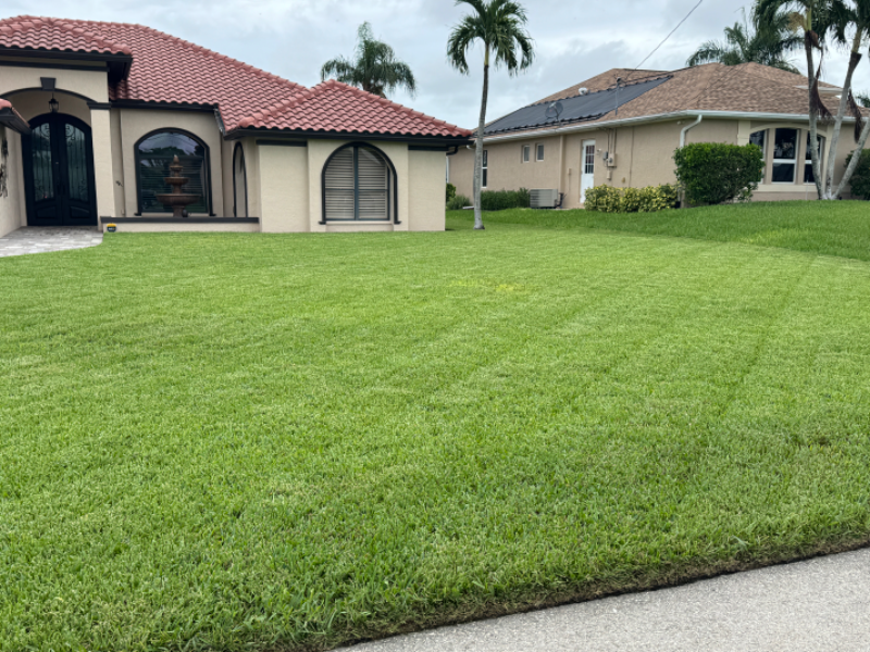 Cape Coral Lawnservice Lawn Care Services in Cape Coral, FL