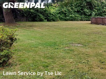Landscaping Cleanup In Kent,98032,Landscaping Services by Tse Llc, work completed in Jul , 2026