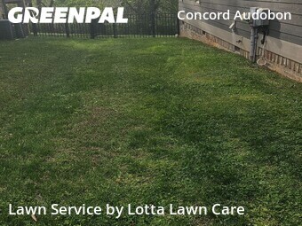 Grass Cut nearby Chattanooga, TN, 