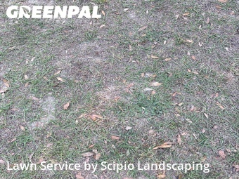 Landscaping In Columbia,29203,Landscape Design by Scipio Landscaping , work completed in Apr , 2026