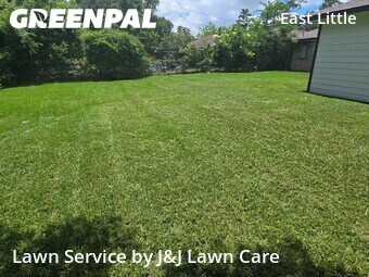 Grass Cut nearby Houston, TX, 
