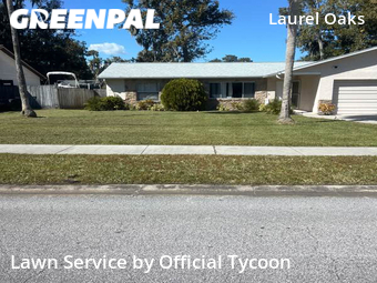 Lawn Mow nearby Ormond Beach, FL, 