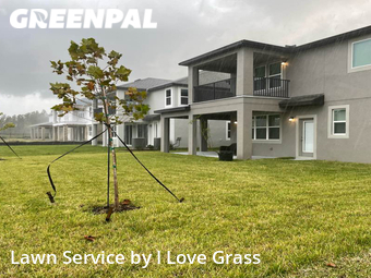 Lawn Care Service nearby Tampa, FL, 