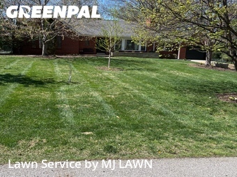 Lawn Mow nearby Affton, MO, 