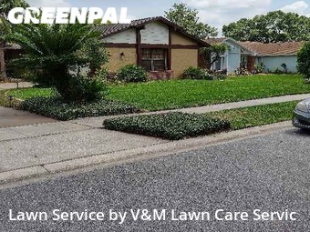 Yard Cutting nearby Winter Springs, FL, 