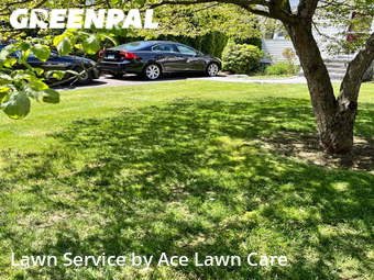 Yard Cutting nearby Fairfield, CT, 