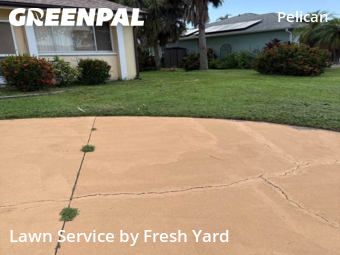 Lawn Cut nearby Cape Coral, FL, 