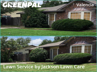 Lawn Care Service nearby San Antonio, TX, 