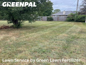 Yard Mowing nearby Springfield, MO, 