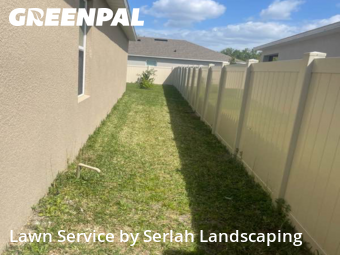 Yard Cutting nearby Ocoee, FL, 