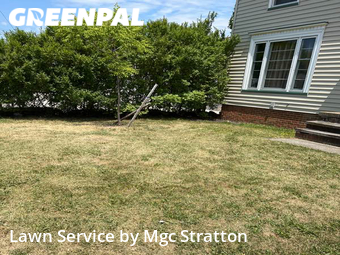 Yard Mowing nearby Lakewood, OH, 
