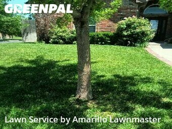 Lawn Cut nearby Amarillo, TX, 