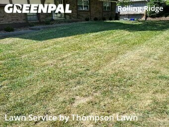 Lawn Cut nearby Olathe, KS, 