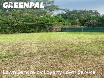 Lawn Care nearby Fort Pierce, FL, 
