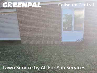 Yard Mowing nearby Hampton, VA, 