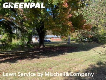 Yard Care Services in Southfield, 48033, Property Maintenance by Mitchell&Company, work completed in Nov , 2025