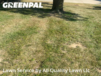 Yard Mowing nearby St. Peters, MO, 