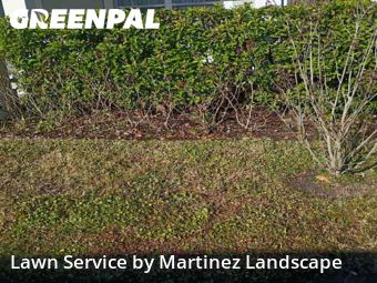 Lawn mowed in Horizon West, 34786