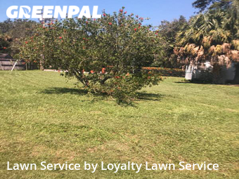 Lawn Mow nearby Stuart, FL, 
