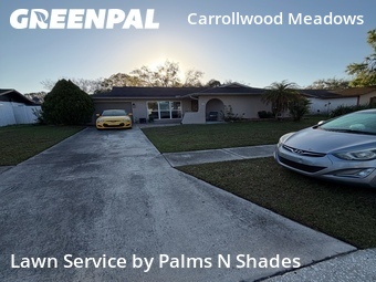 Lawn Mowing nearby Tampa, FL, 