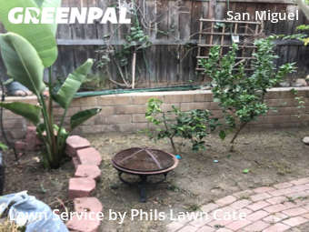 Yard Cutting nearby Chula Vista, CA, 
