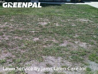 Lawn Mowing Service nearby Spring Hill, FL, 