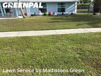 Yard Grooming in Royal Palm Beach, 33411, Yard Upkeep by Madissons Green, work completed in Dec , 2025