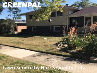 Grass Cutting nearby Oak Forest, IL, 