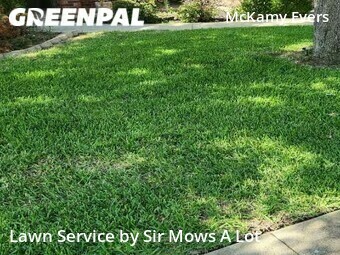 Lawn Mowing nearby Denton, TX, 