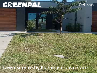 Lawn mowed in Cape Coral, 33914