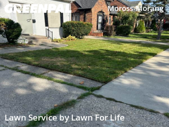 Lawn Cutting nearby Detroit, MI, 