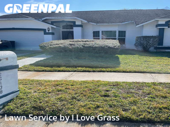 Lawn Service nearby Land O' Lakes, FL, 